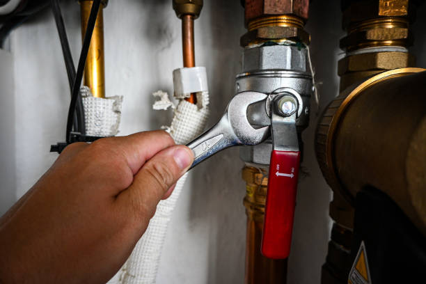 Best Affordable Plumbing Services  in Shamokin Dam, PA